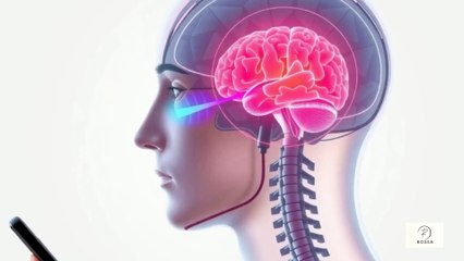 📱 Sóng Điện Thoại Có Gây Tổn Thương Thần Kinh Không Câu Trả Lời Khiến Bạn Bất Ngờ!