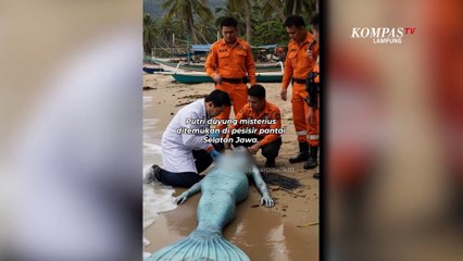 Hoax  Penemuan Putri Duyung di Pantai Selatan Jawa | NEWS OR HOAX