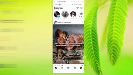 Guide to Changing the Language on Instagram