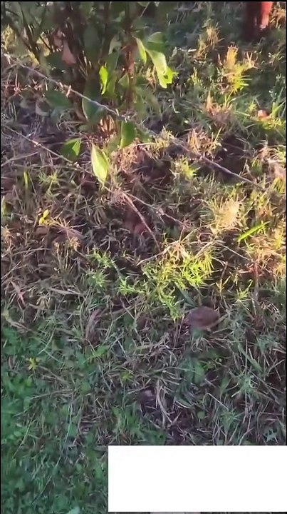 Wait till the end 🤣🤣