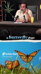 The Butterfly Effect || Acharya Prashant