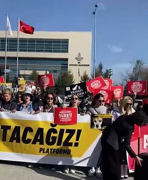 Gündem, Hayvanları Koruma Kanunu görüşmesi: Hak savunucuları AYM önünde toplandı