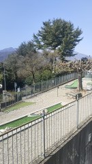 Orta San Giulio. il lago e la isola