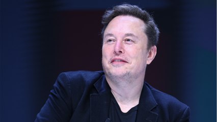 Wer ist Elon Musk? Ein Überblick