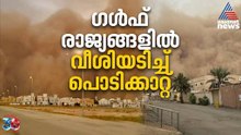 ഗൾഫ് രാജ്യങ്ങളിൽ വീശിയടിച്ച് പൊടിക്കാറ്റ്, ജനങ്ങൾക്ക് ജാ​ഗ്രത നിർദേശം | Dust Storm