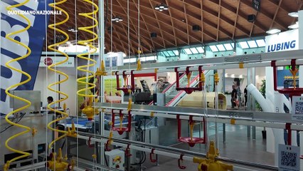 La rivincita dell'uovo: intervista a Fabio Gualtieri