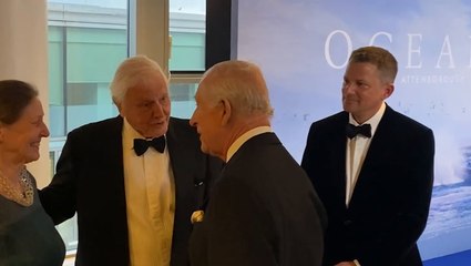King says he ‘can’t believe’ David Attenborough’s age as pair walk blue carpet