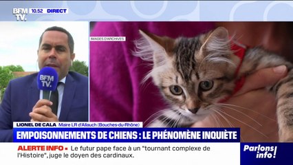Empoisonnements d'animaux: "Les familles vivent ça comme un véritable deuil", affirme Lionel De Cala, maire LR d'Allauch