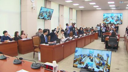 '대선후보·대통령 재판 정지법' 국회 법사위 통과 / YTN