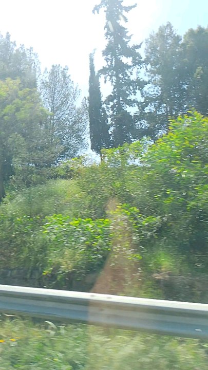 سحر الطبيعة المغرب مكناس فاس الحاجب