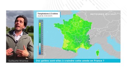 Saints de glace 2025 : des gelées sont-elles à craindre cette année en France ?