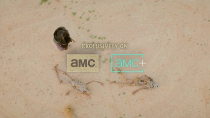 The Walking Dead: Daryl Dixon - temporada 3 Teaser VO