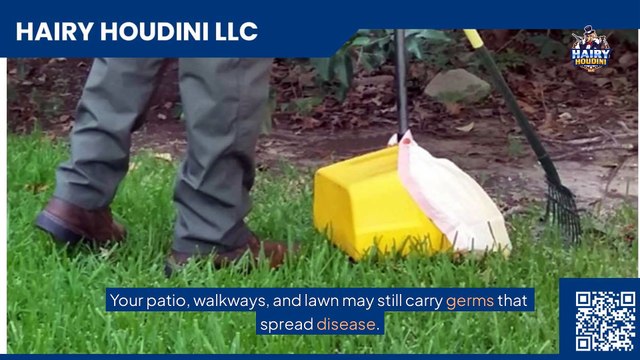 Deodorizing & Sanitizing Treatments - Hairy Houdini LLC - Carnation, WA - (425) 202-5189