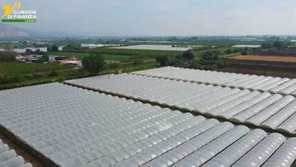 Truffa milionaria ai fondi agricoli europei, 12 arresti in Campania: indagine partita da Mondragone (07.05.25)