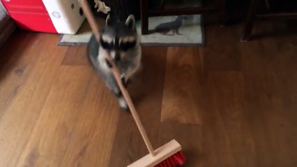 Vidéo bloquée sur mydomain.com