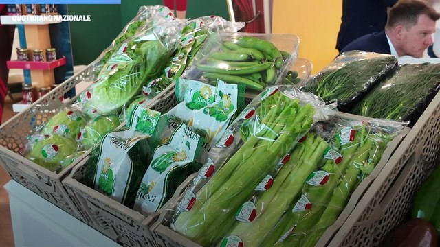 Macfrut 2025, la filiera dell'ortofrutta arriva a Rimini