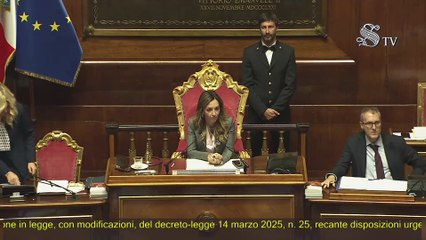Maiorino - Intervento in Senato (07.05.25)