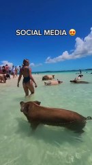 Places In Real Life #travel #explore #adventure #destinations