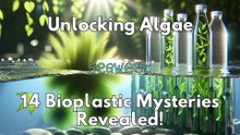 Unlocking Algae: 14 Bioplastic Mysteries Revealed!