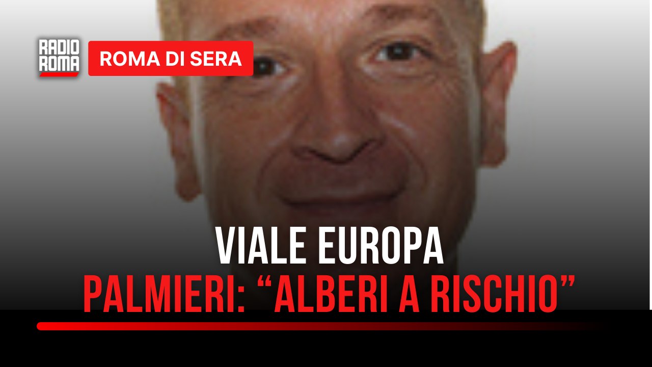 Taglio alberi Viale Europa, Palmieri (Pd): "Chi protesta dice falsità, sono a rischio crollo"
