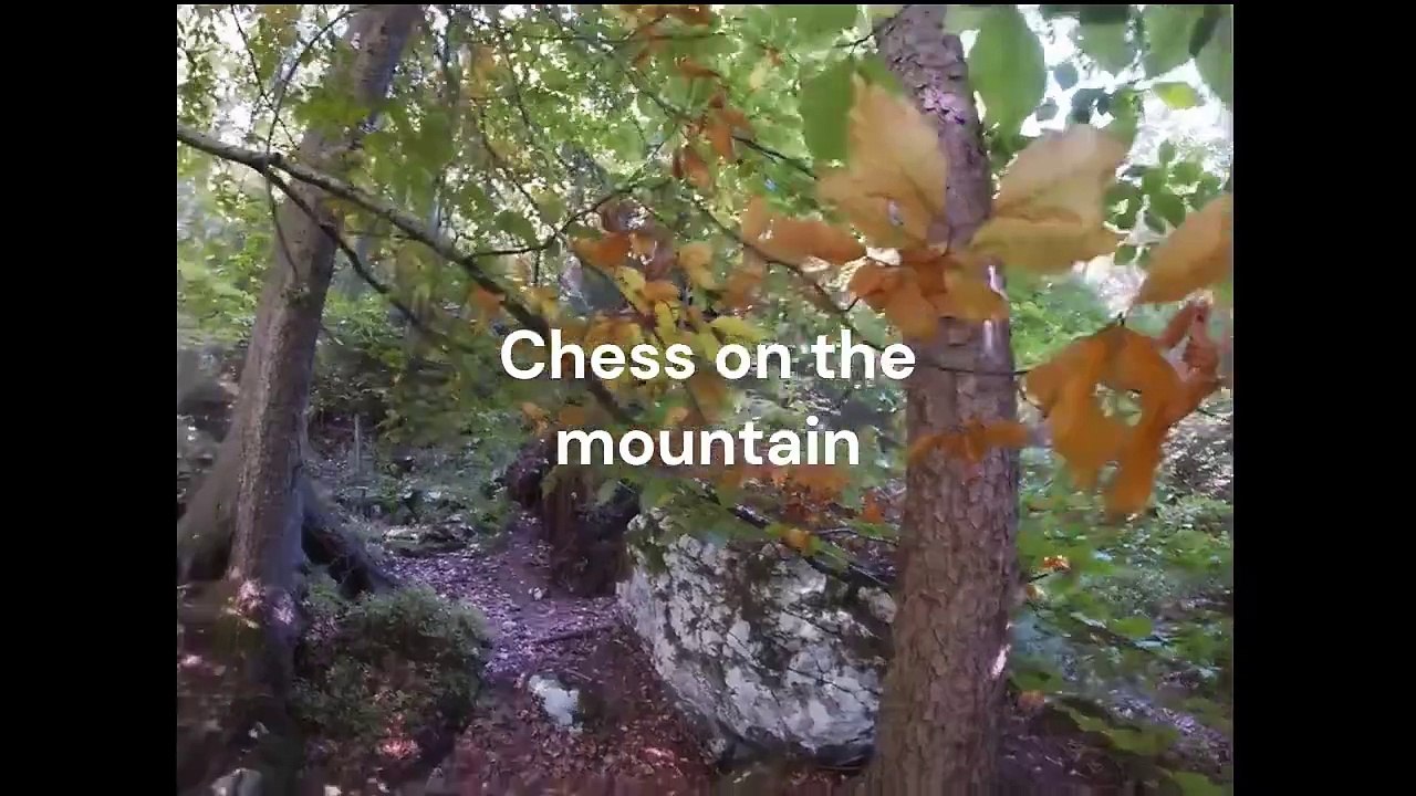 One of the best chess study by Peter Krug