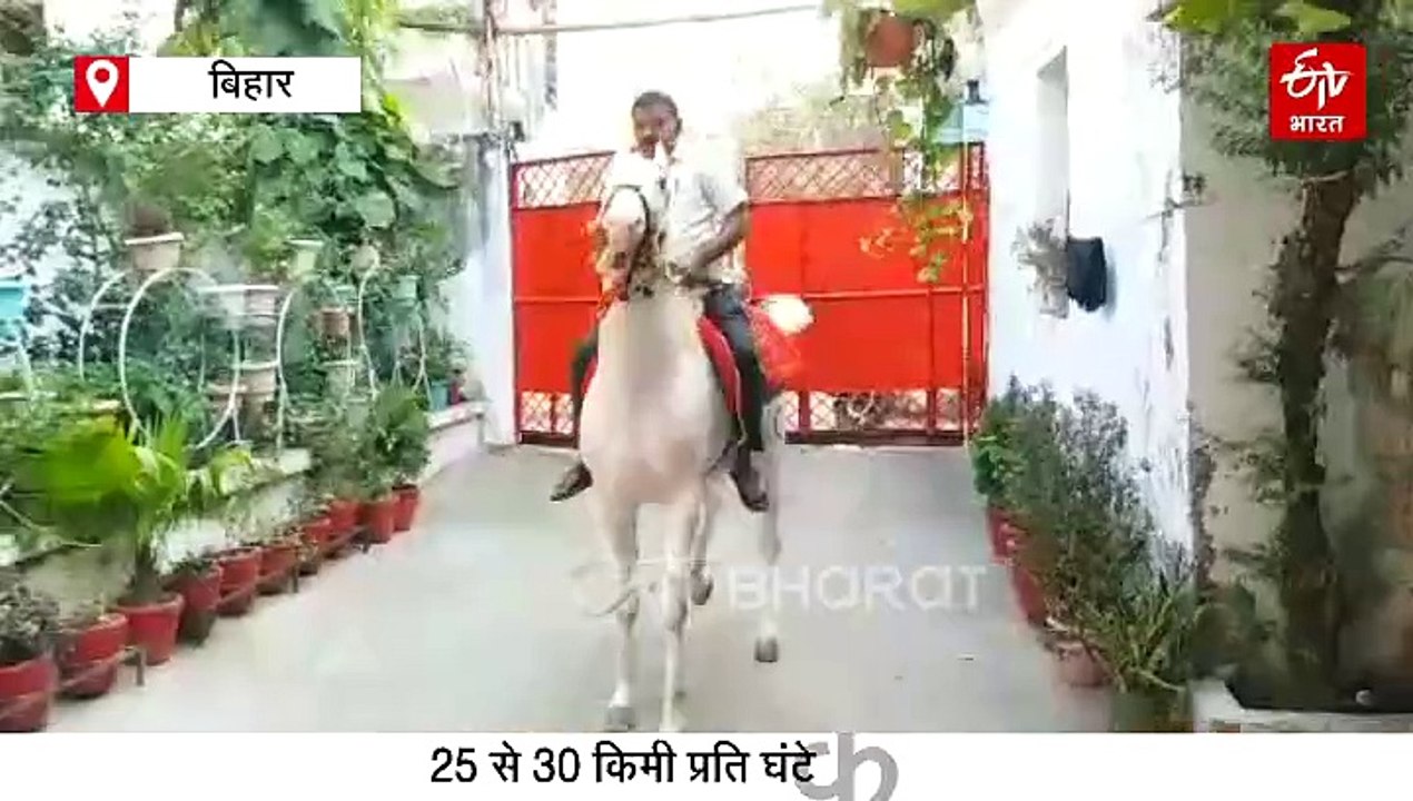कीमत में BMW को टक्कर देता है यह घोड़ा, महीने में एक लाख खर्च, पनीर की सब्जी के बिना खाना नहीं खाता