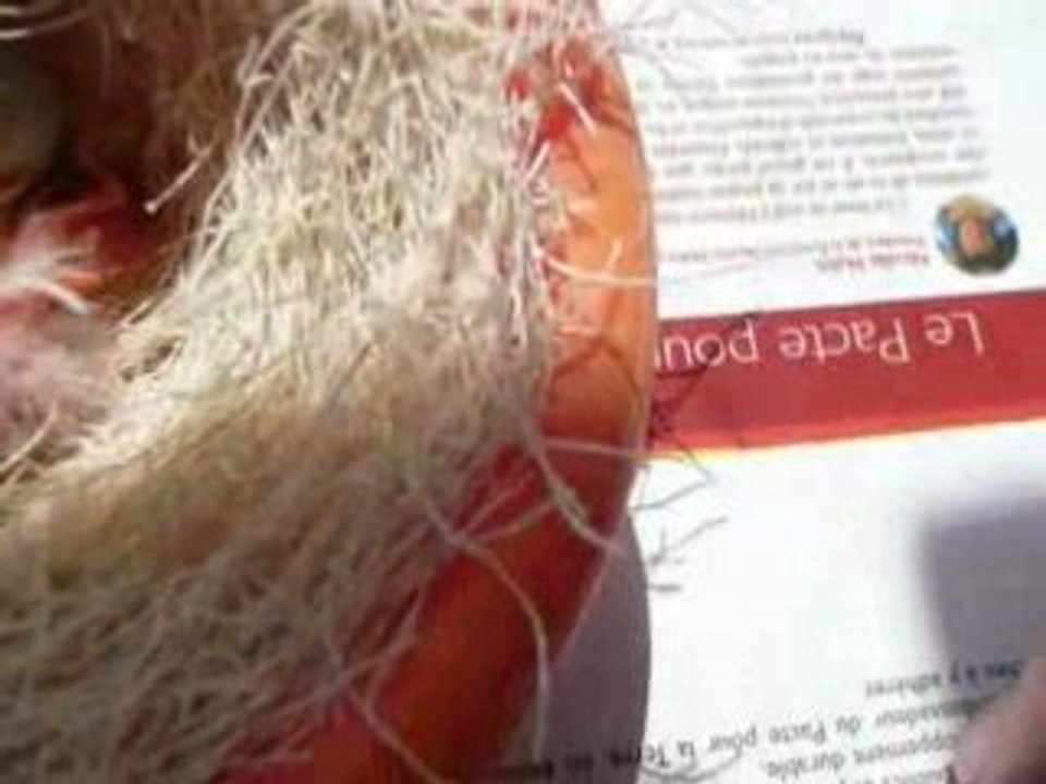 P1010131