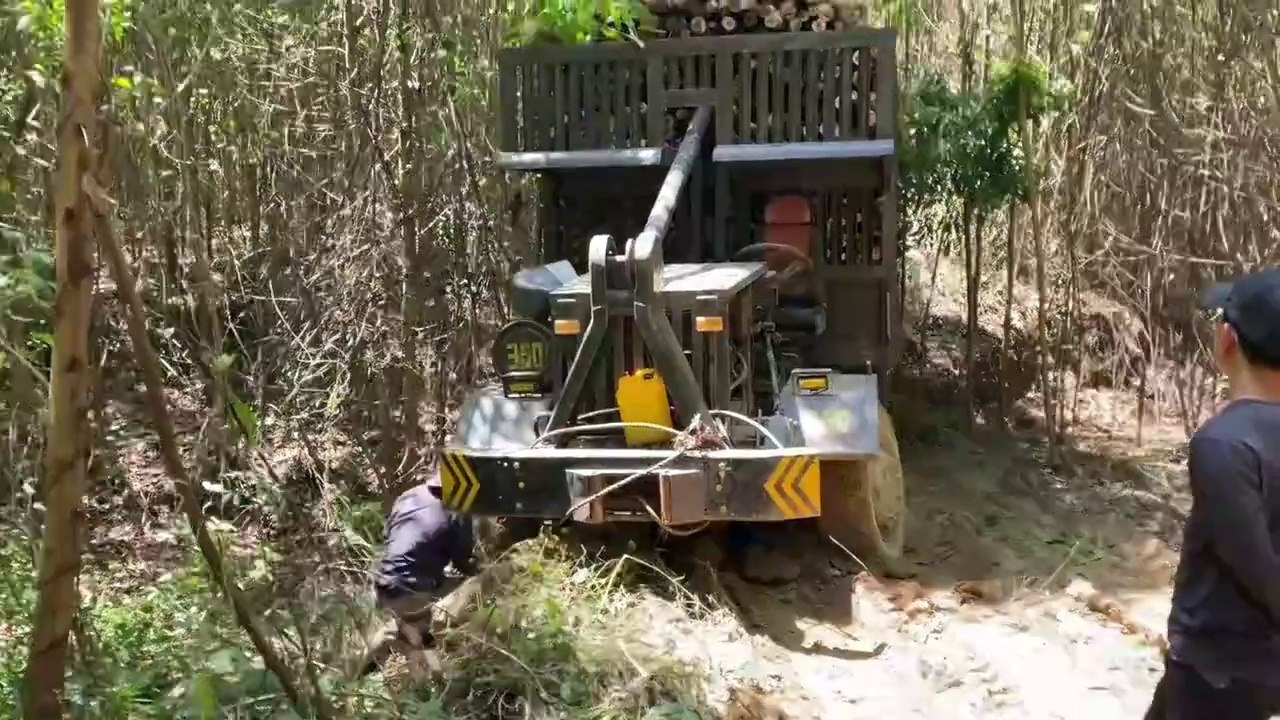 Wood Truck Slips Off the Road on a Dangerous Muddy Path