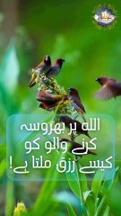 Mohammad S.A.W said..#trending #shorts #rizq #