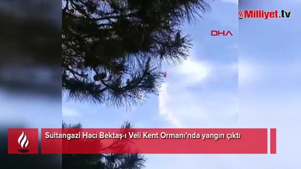 Sultangazi Kent Ormanı’nda yangın!