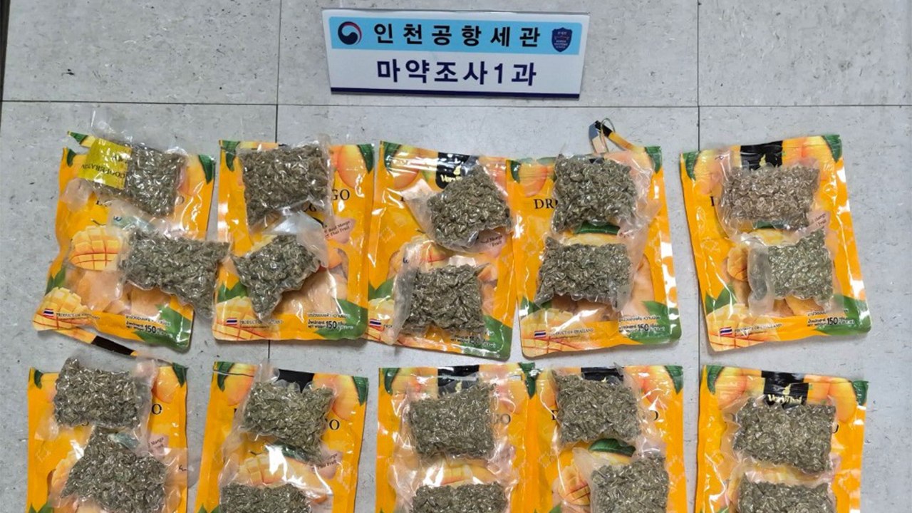 건망고 속에 대마초 3kg...밀반입 시도 태국인 2명 구속 / YTN