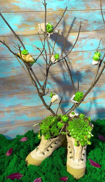 Comment rendre vos plantes Happy : Les bases de l'arrosage, de l'alimentation et de l'ensoleillement !