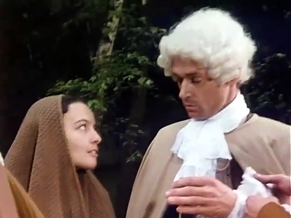 Johann Sebastian Bachs vergebliche Reise in den Ruhm (1980)