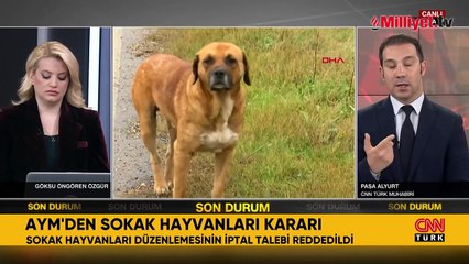 AYM, sahipsiz hayvan düzenlemesinin iptalini reddetti