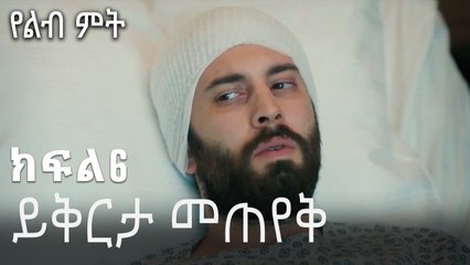 ይቅርታ መጠየቅ-የልብ ምት ክፍል 6
