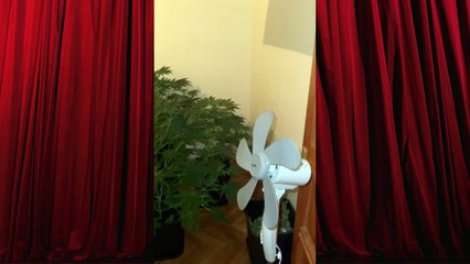 Evini Madde Serasına Çevirdi, Jandarma Yakaladı