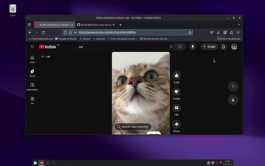 How to download youtube videos on linux?!