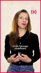 SIMONE - NEWS : depuis quand existe le patriarcat ? (partie 2)