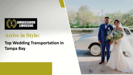 Luxury Wedding Transportation in Tampa Bay
