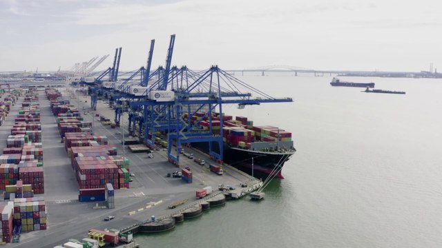 Cresce il volume di import e export di cereali, semi oleosi e farine