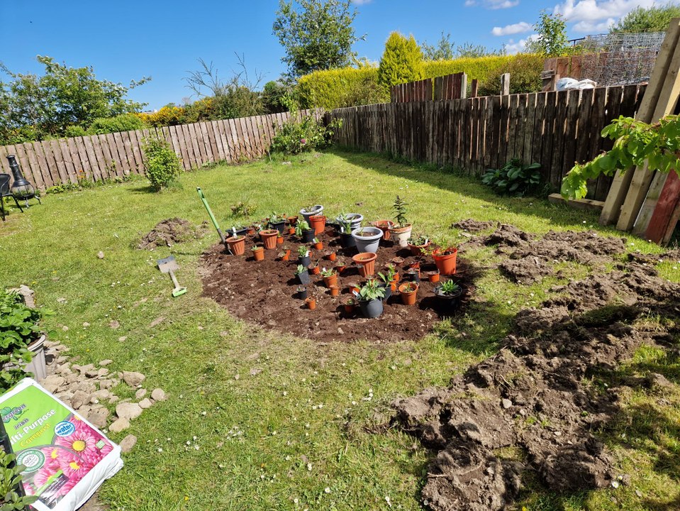 Starting a perennial flower bed from scratch in hard clay