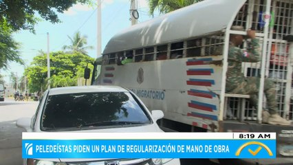 Peledeístas piden un plan de regularización de mano de obra| El Despertador