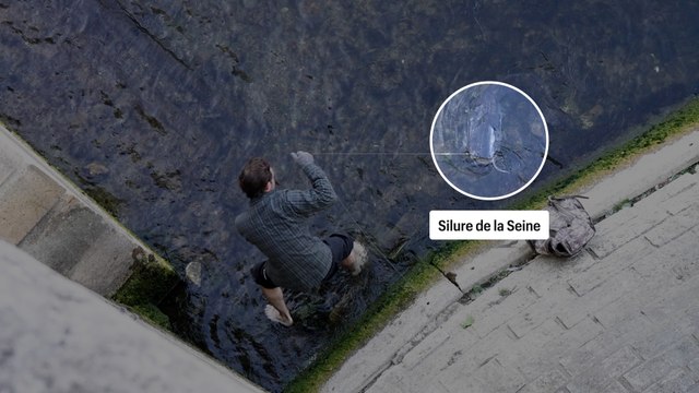 Bill François, le pêcheur de silure devenu célèbre grâce à Jamel Debbouze