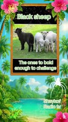 The black sheep-The ones to bold  enough to challenge