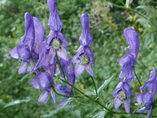 3 Les 3 Endroits les Plus Dangereux au Monde ⚠️