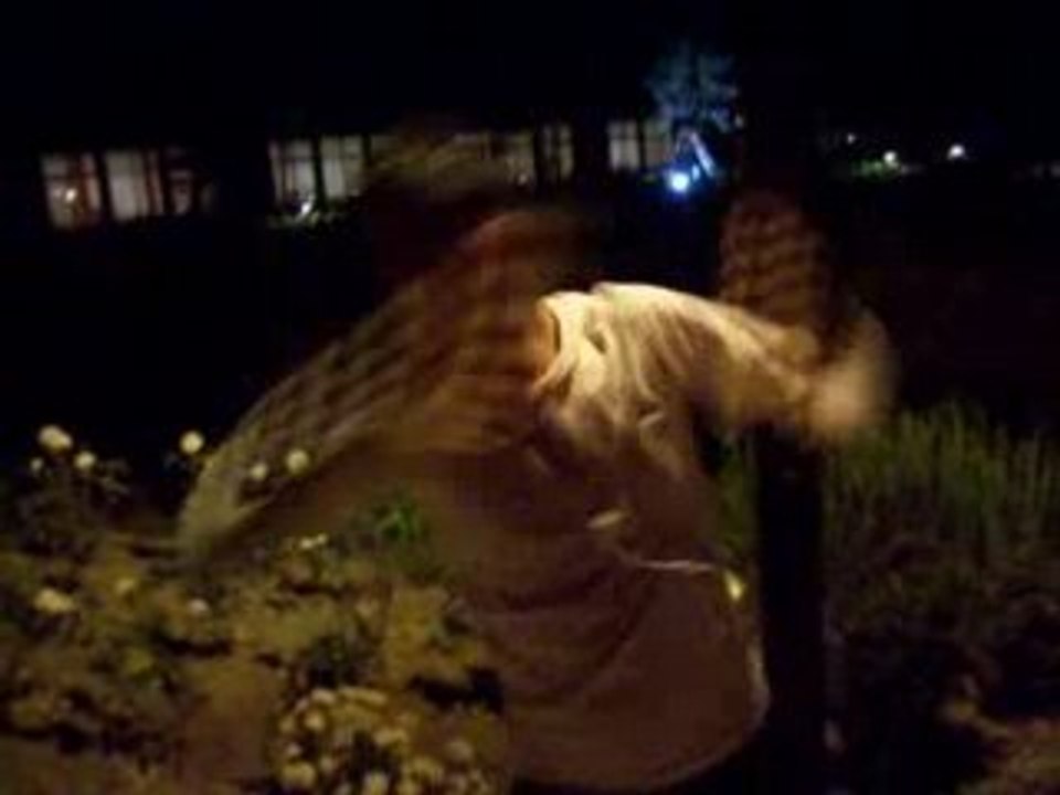 center parcs 2008 Yvan tecktonic