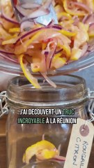 🌶️ ICE SPICE ✨EP 03