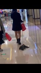 Paw-sitively Hilarious：Cats and Dogs That’ll Make