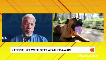 Staying weather-aware for the sake of your pets