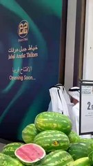 Dubai Ruler Sheikh Mohammed at Nad Al Sheba Mall
